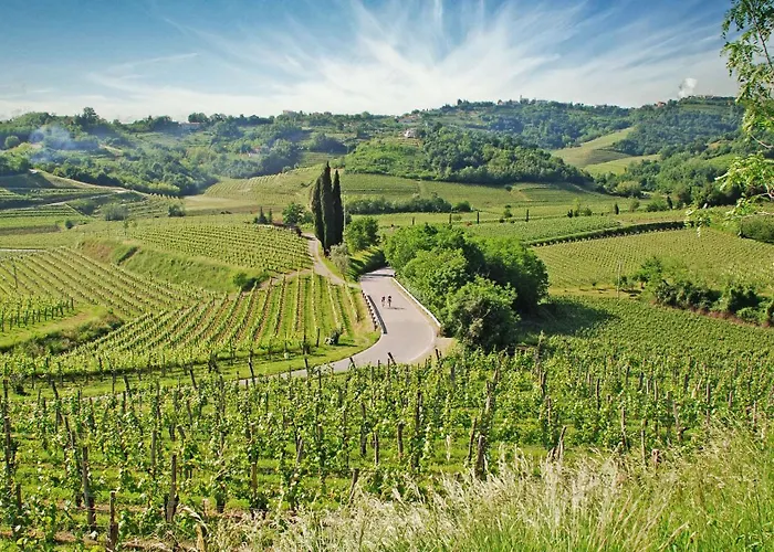 Fana Estate